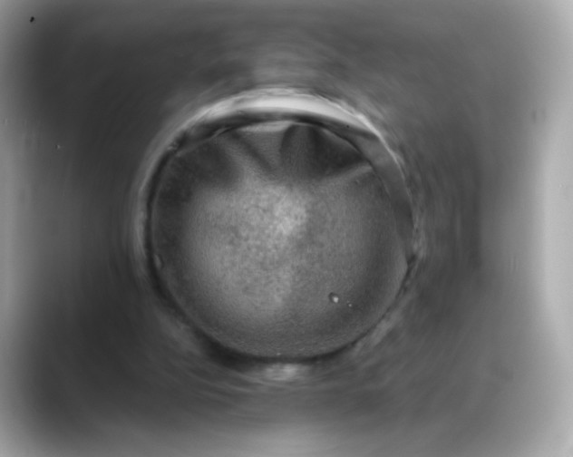 X0000088390152200706051124