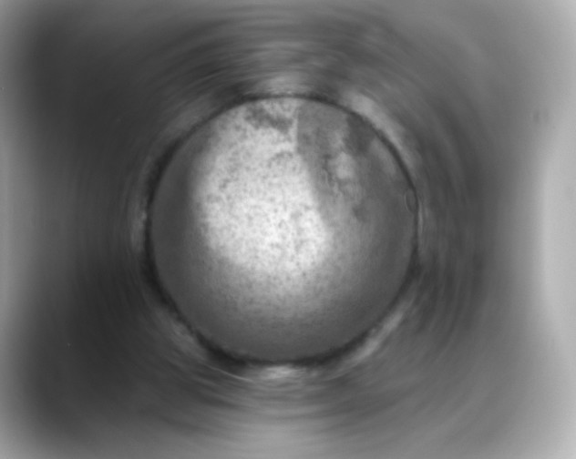 X0000088390153200706051124