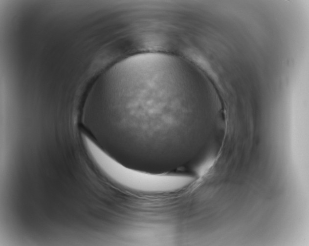 X0000088390154200706051124