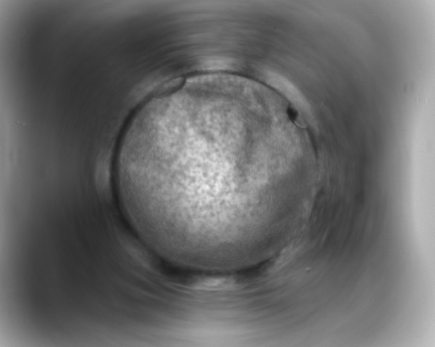 X0000088390155200706051124