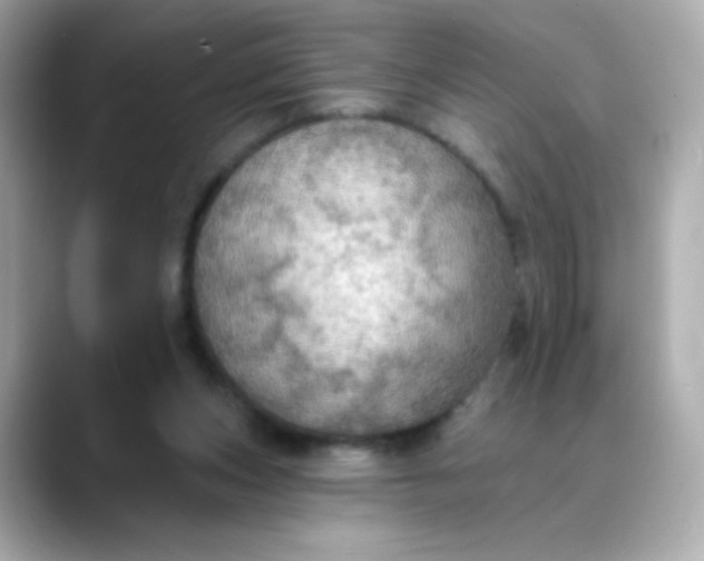 X0000088390159200706051124