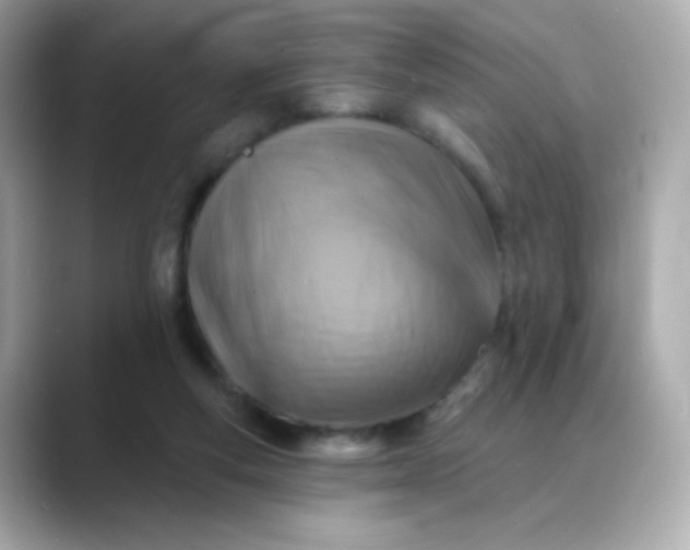 X0000088390163200706051124