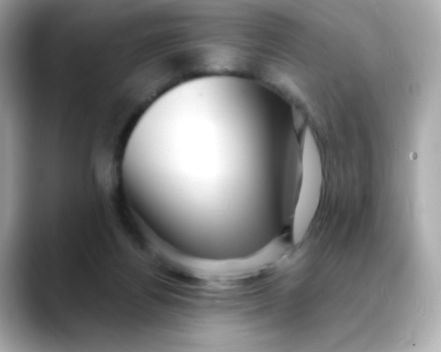 X0000088390164200706051124