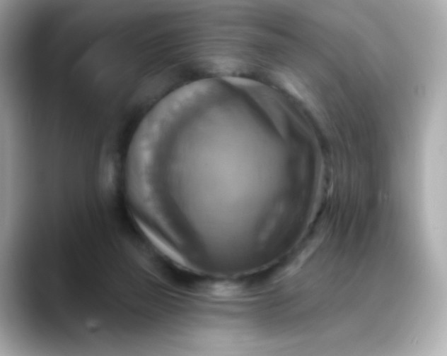 X0000088390165200706051124