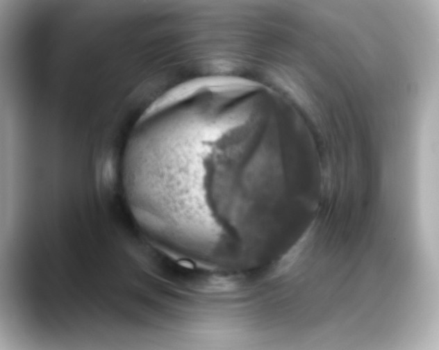 X0000088390166200706051124