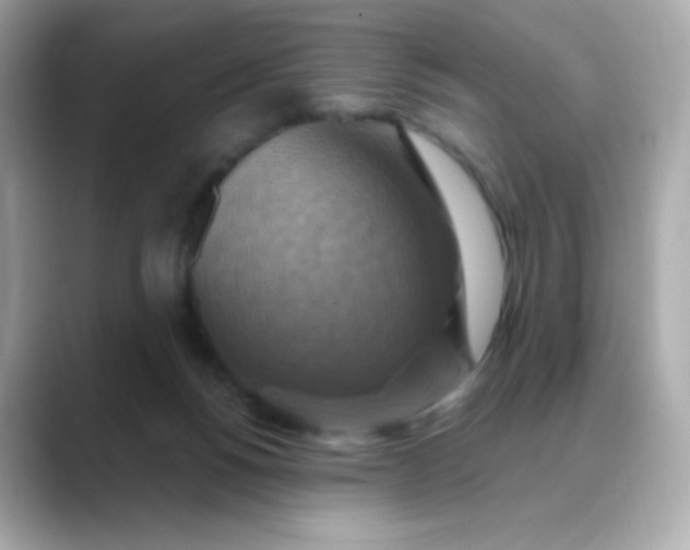 X0000088390168200706051124