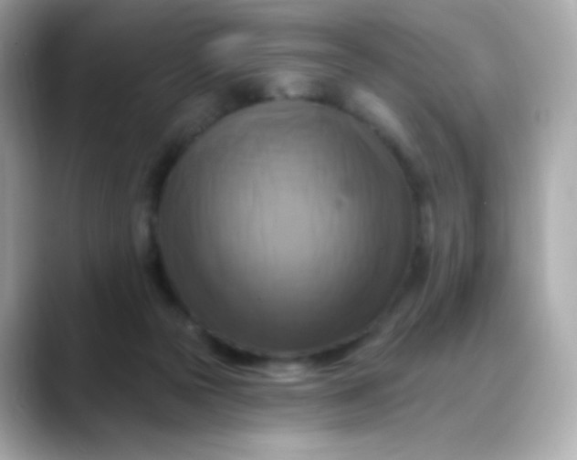 X0000088390169200706051124