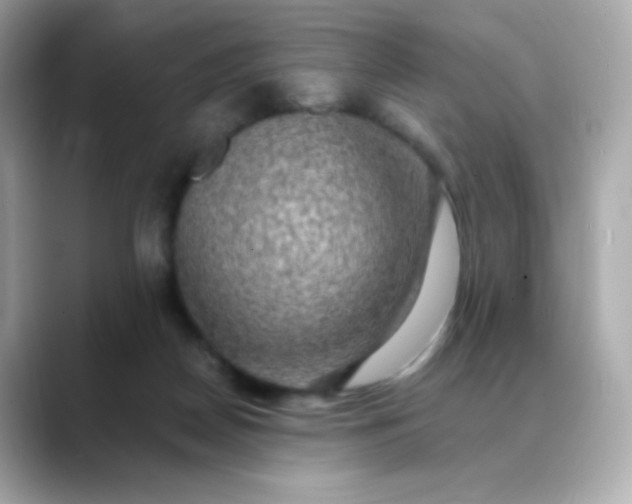 X0000088390170200706051124