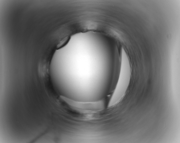 X0000088390172200706051124