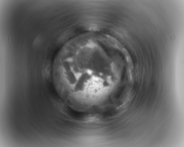 X0000088390175200706051124