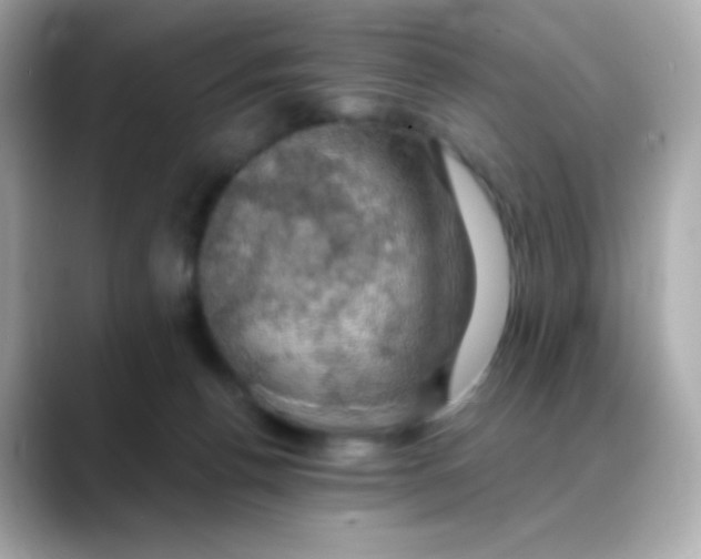 X0000088390176200706051124