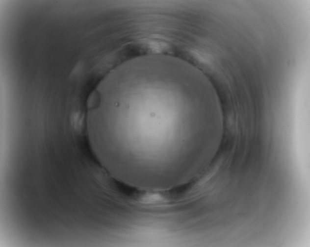 X0000088390177200706051124