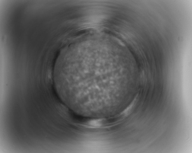 X0000088390178200706051124