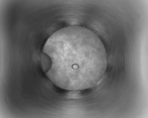 X0000088390179200706051124