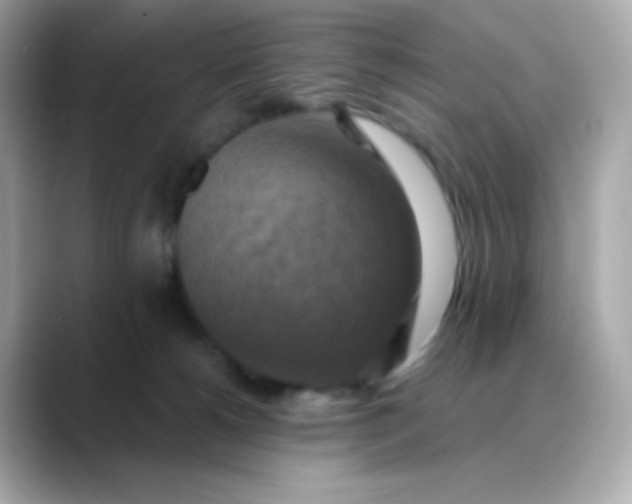 X0000088390180200706051124