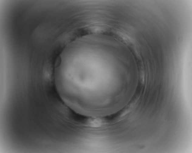 X0000088390181200706051124