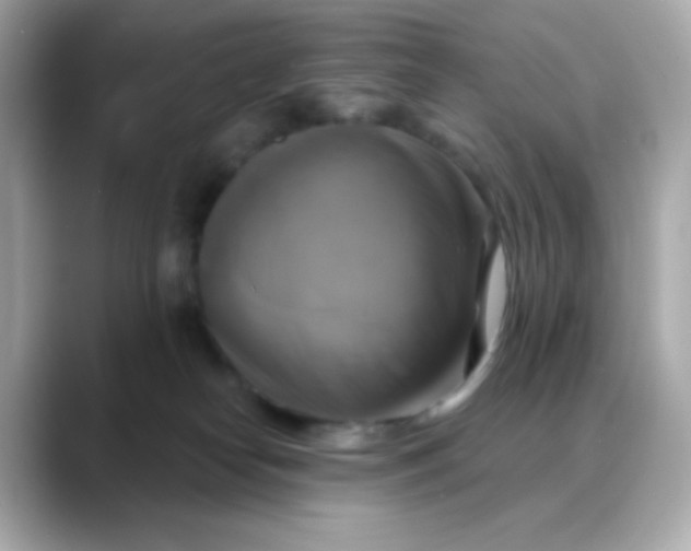 X0000088390182200706051124