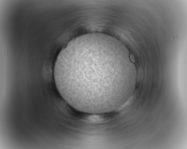 X0000088390183200706051124