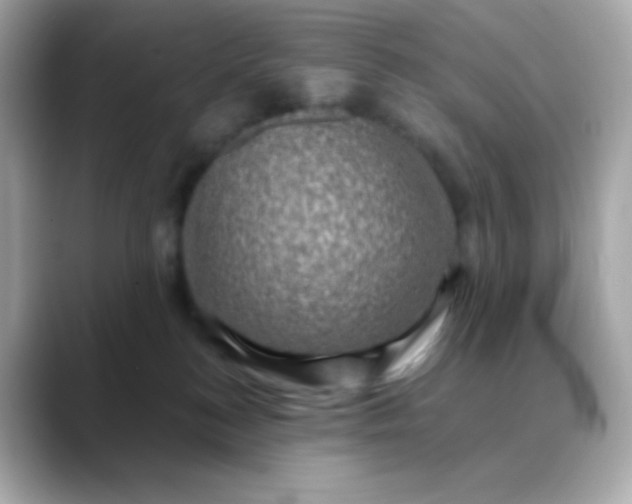 X0000088390184200706051124