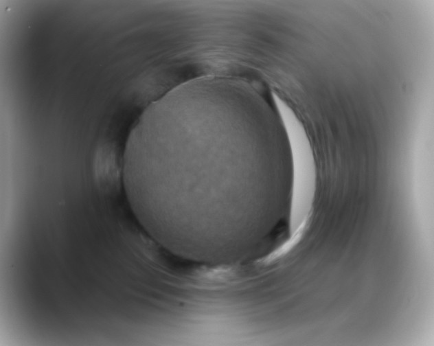 X0000088390186200706051124