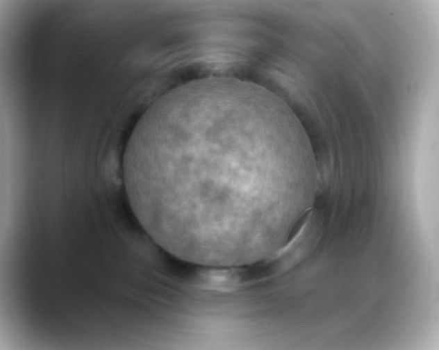 X0000088390187200706051124