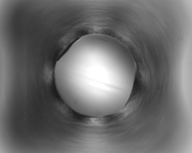 X0000088390188200706051124