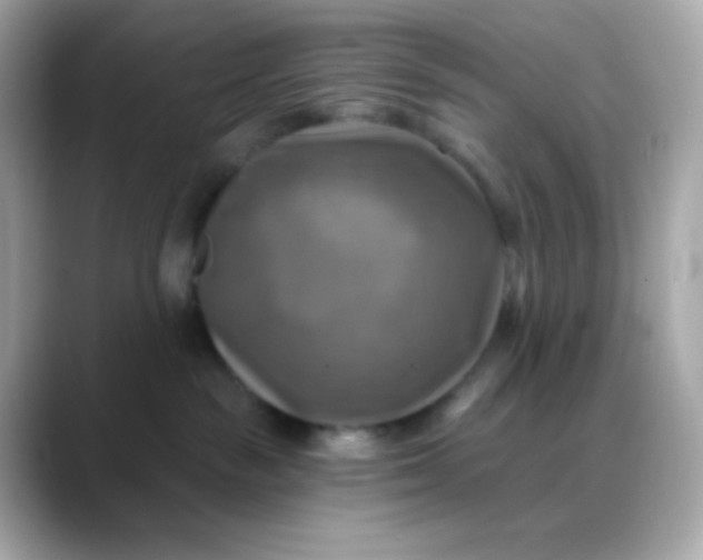 X0000088390189200706051124