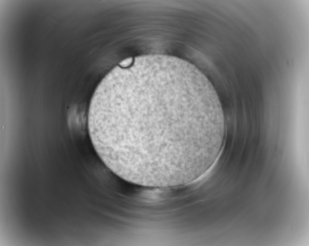 X0000088390190200706051124