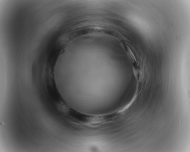 X0000088390191200706051124