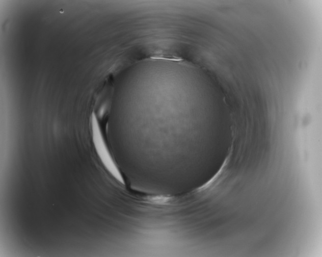 X0000088390192200706051124