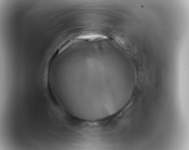 X0000088390194200706051123