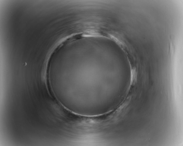 X0000088390195200706051123