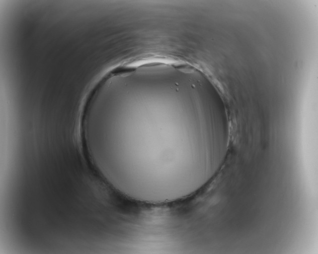 X0000088390196200706051123