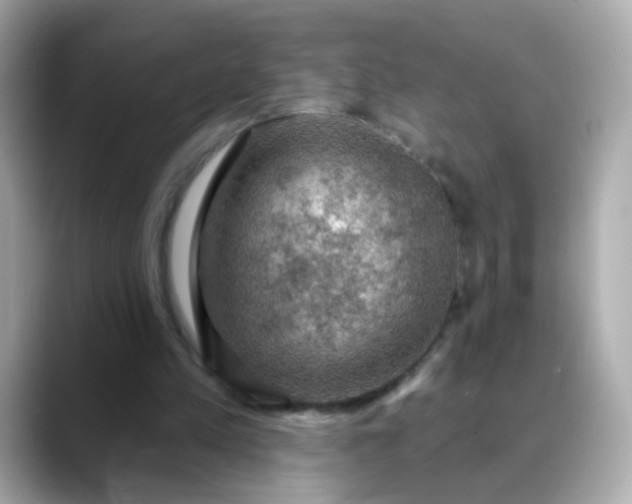 X0000088390197200706051123