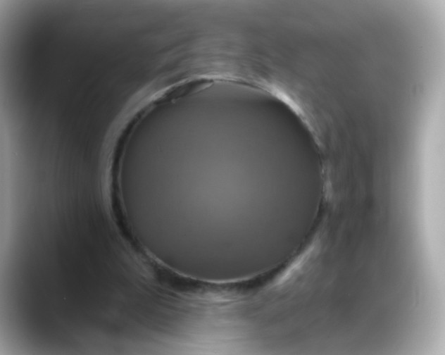 X0000088390199200706051123