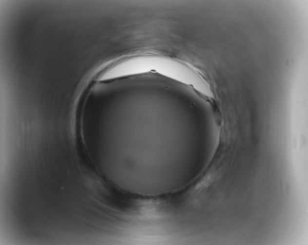 X0000088390200200706051123