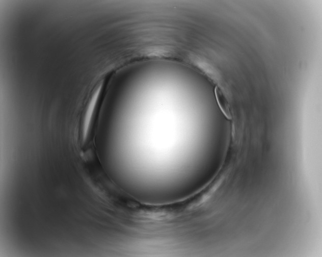 X0000088390201200706051123