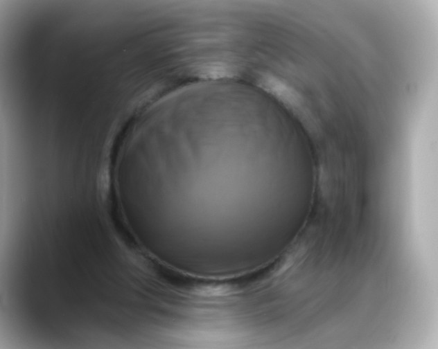 X0000088390202200706051123