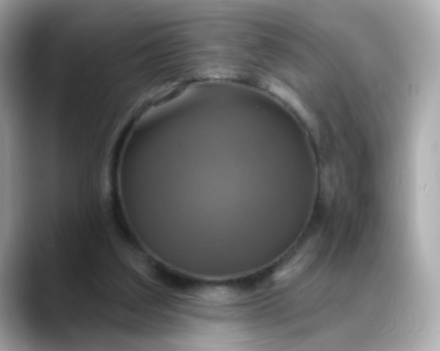 X0000088390203200706051123