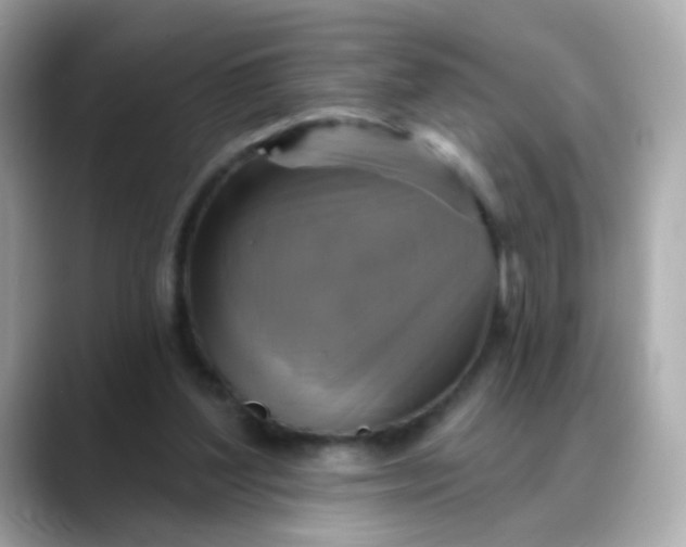 X0000088390204200706051123