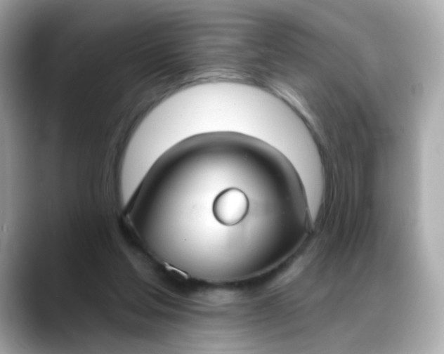 X0000088390205200706051123