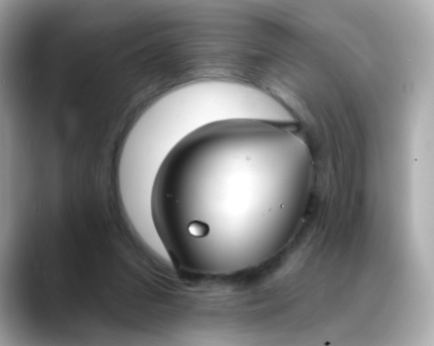 X0000088390207200706051123