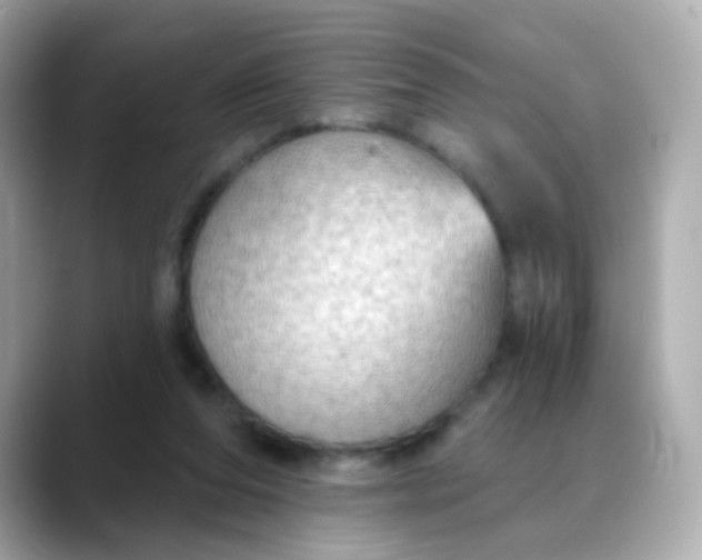 X0000088390208200706051123