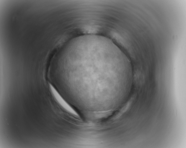 X0000088390209200706051123