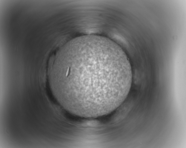 X0000088390210200706051123