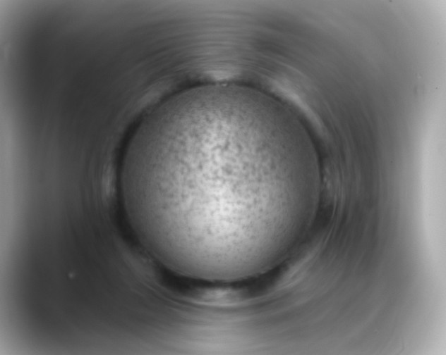 X0000088390212200706051123