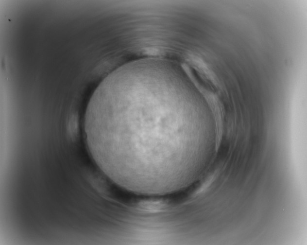 X0000088390213200706051123