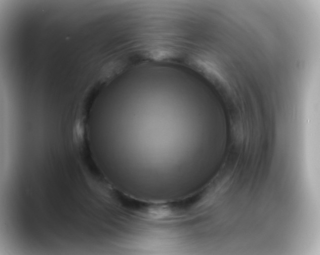 X0000088390214200706051123