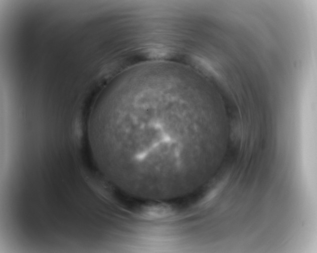 X0000088390215200706051123