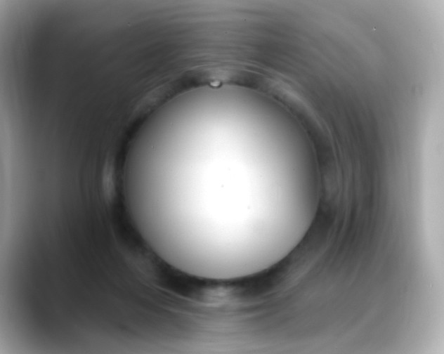 X0000088390216200706051123